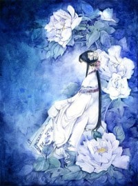 [红楼]小李探花